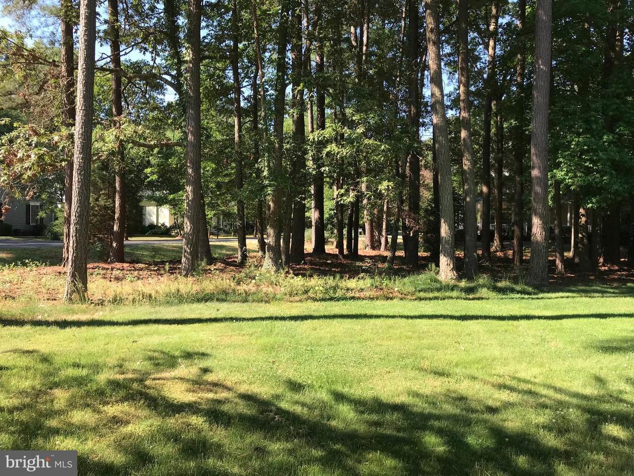 14885 Catherine Court - Photo 1