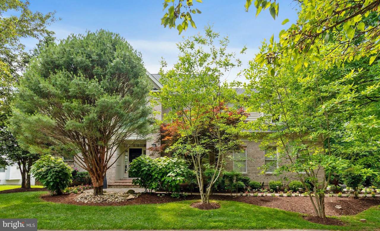 10433 Snow Point Drive - Photo 1