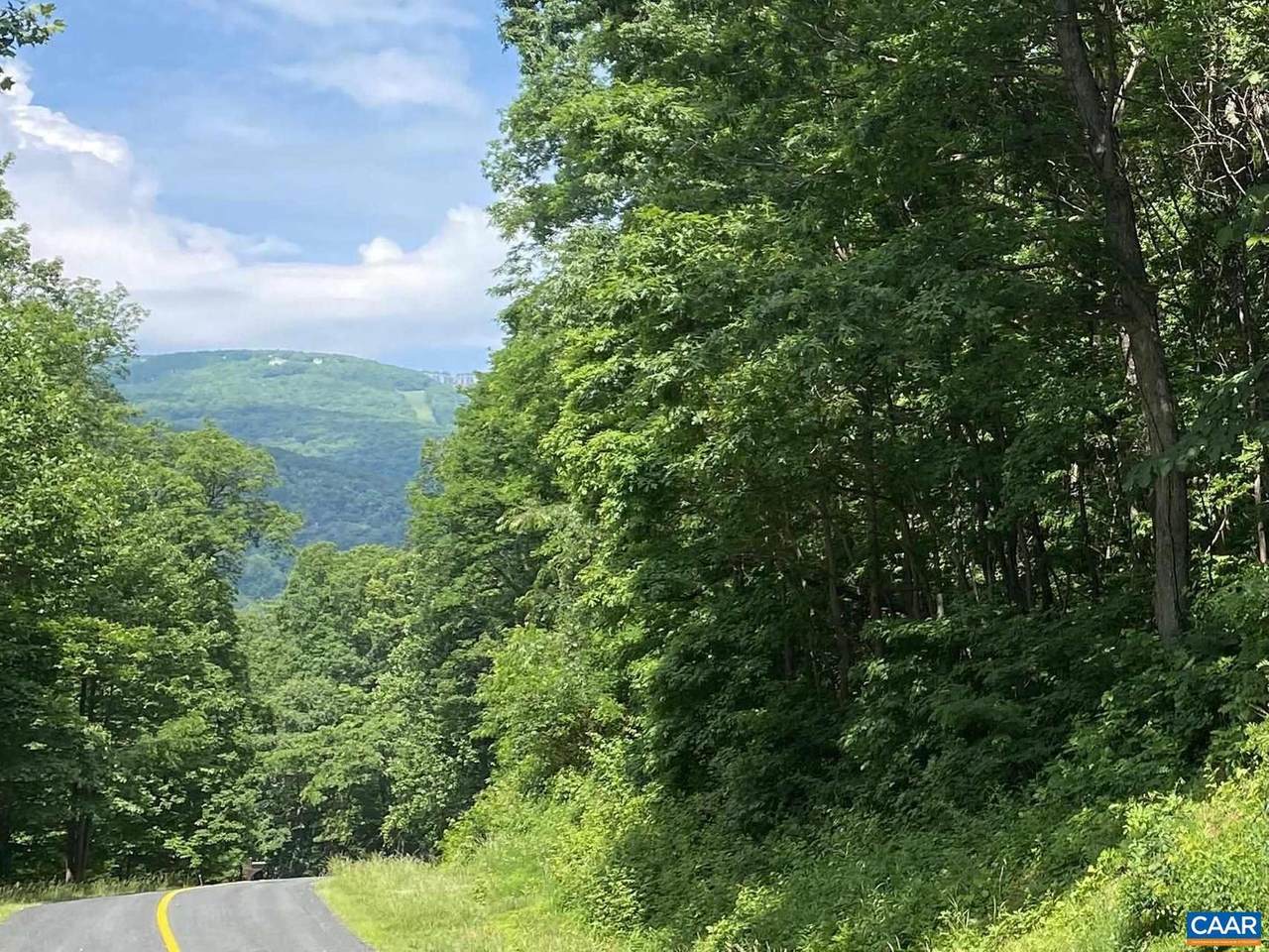 631 & 711 Far Knob Climb - Photo 1