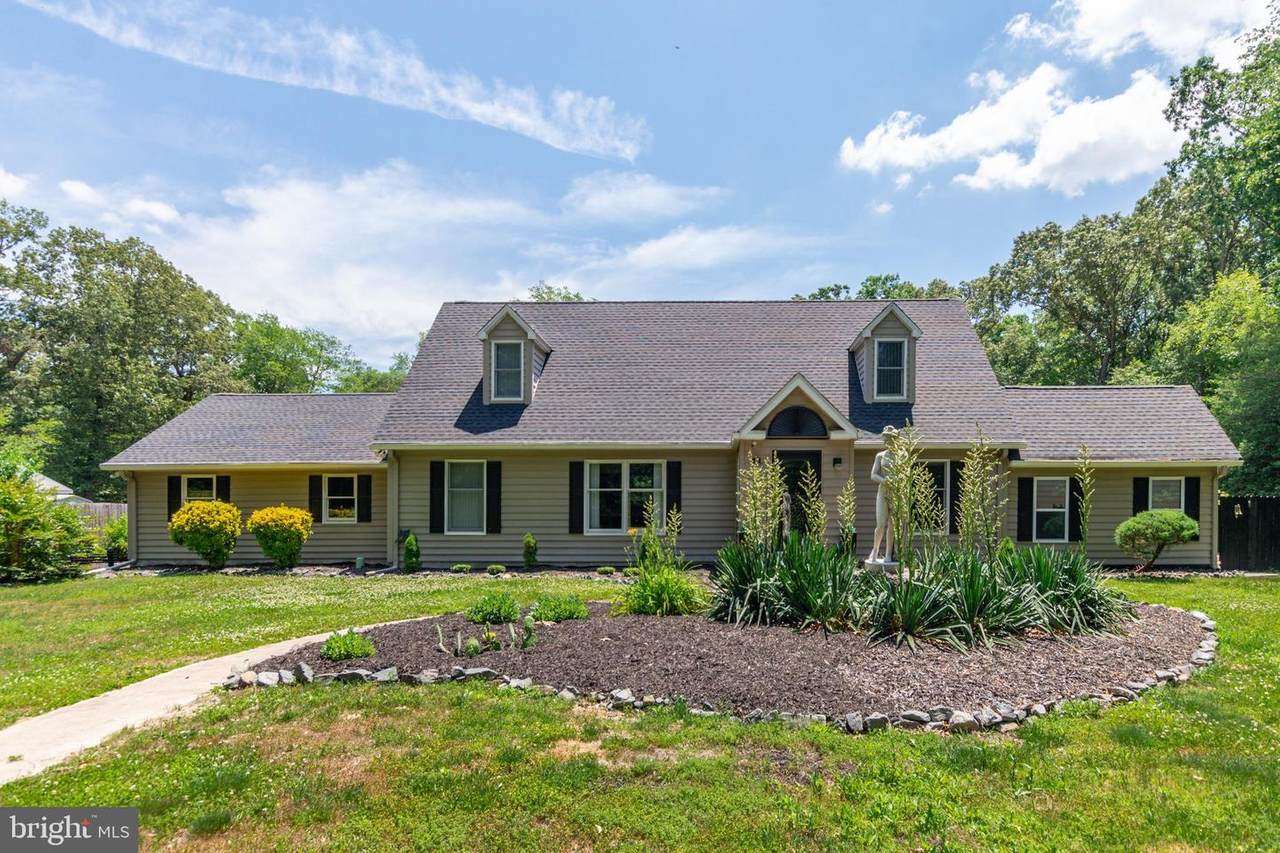 26124 Lewes Georgetown Highway - Photo 1