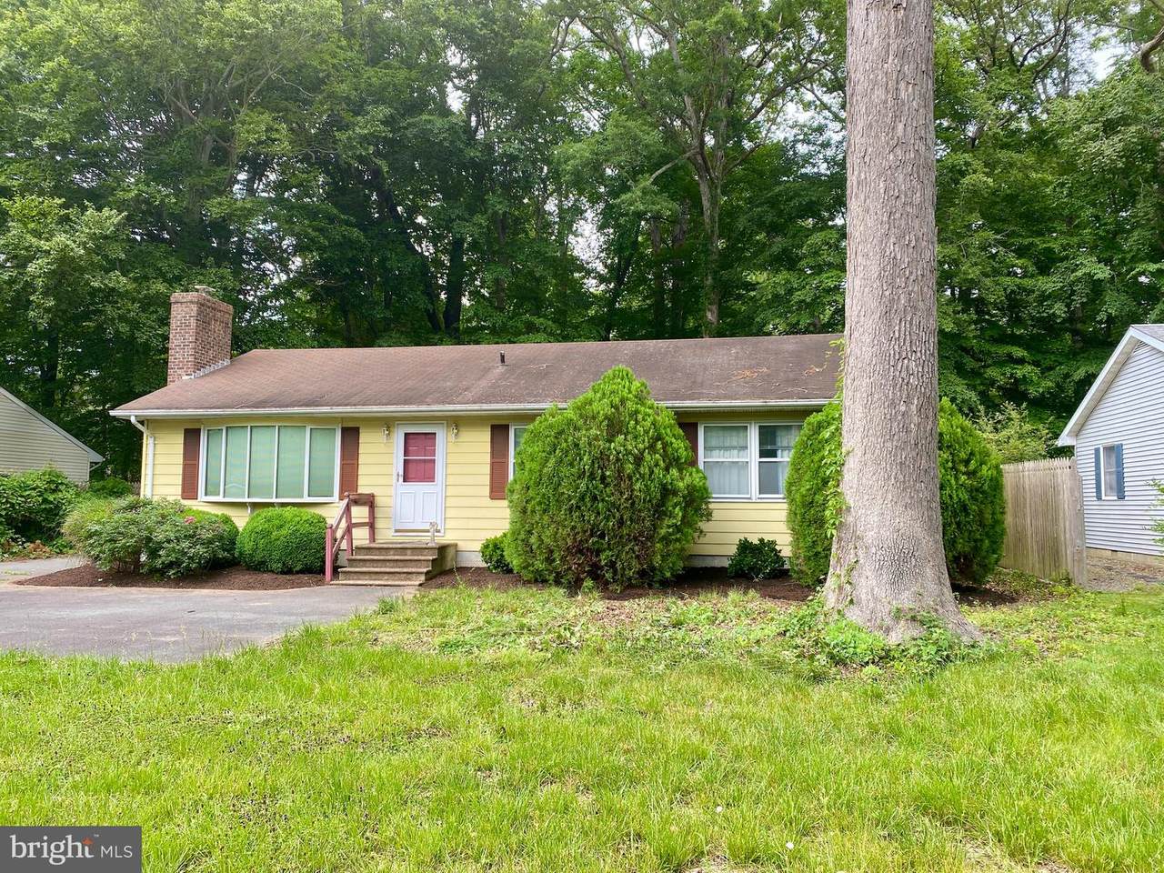 29311 Pin Oak Way - Photo 1
