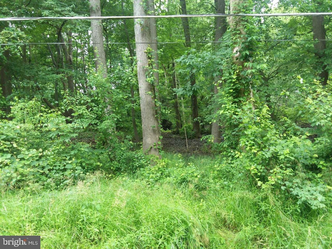 153 Gum Bush Road - Photo 1
