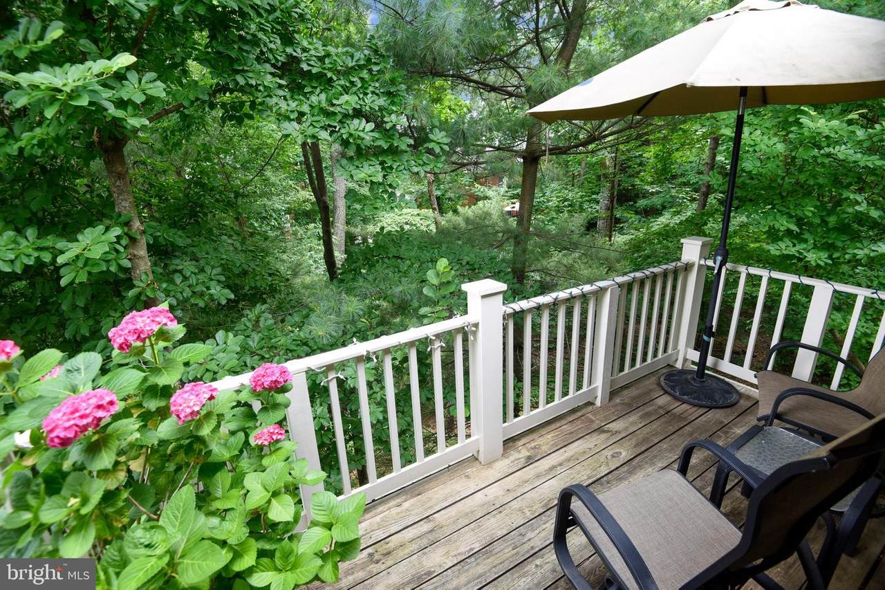1300 Windleaf Drive - Photo 1