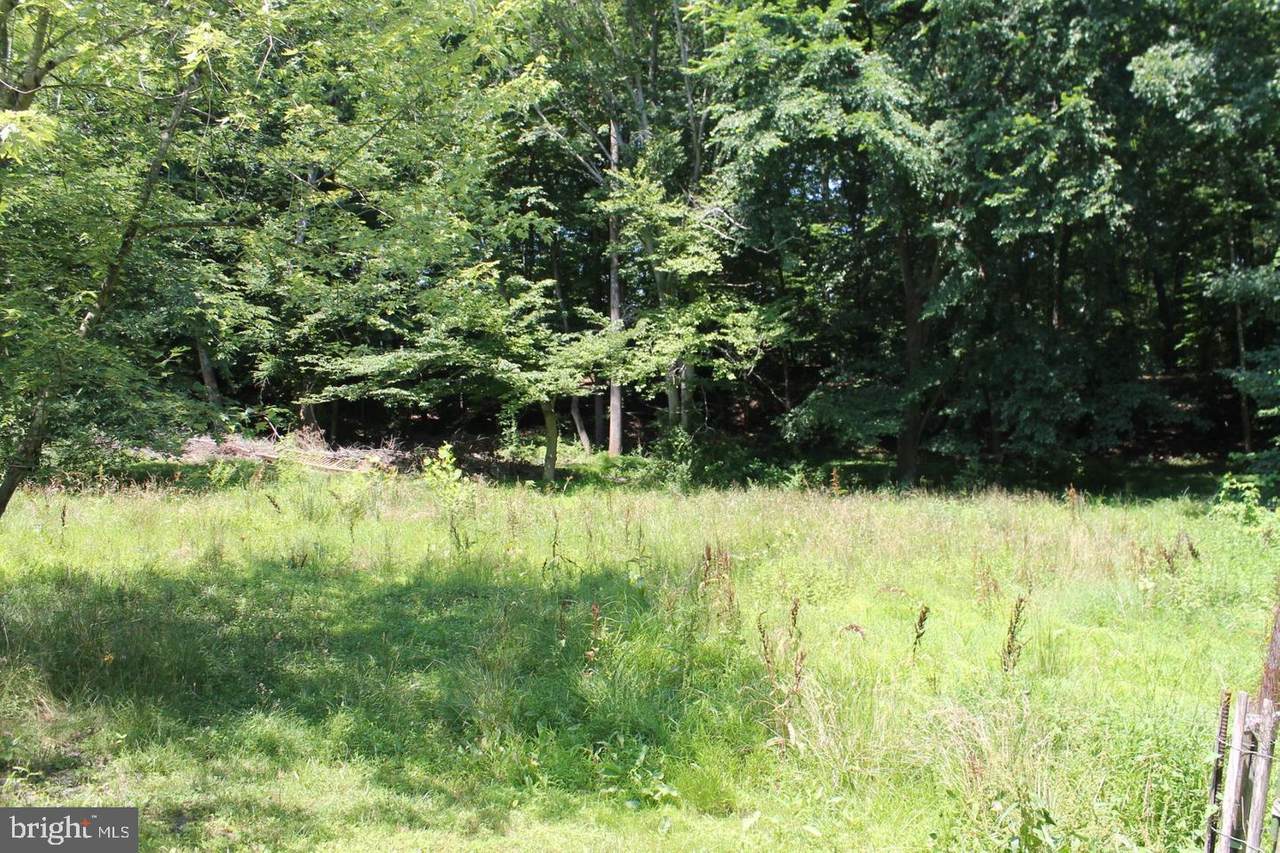 7804 Oak Street - Photo 1