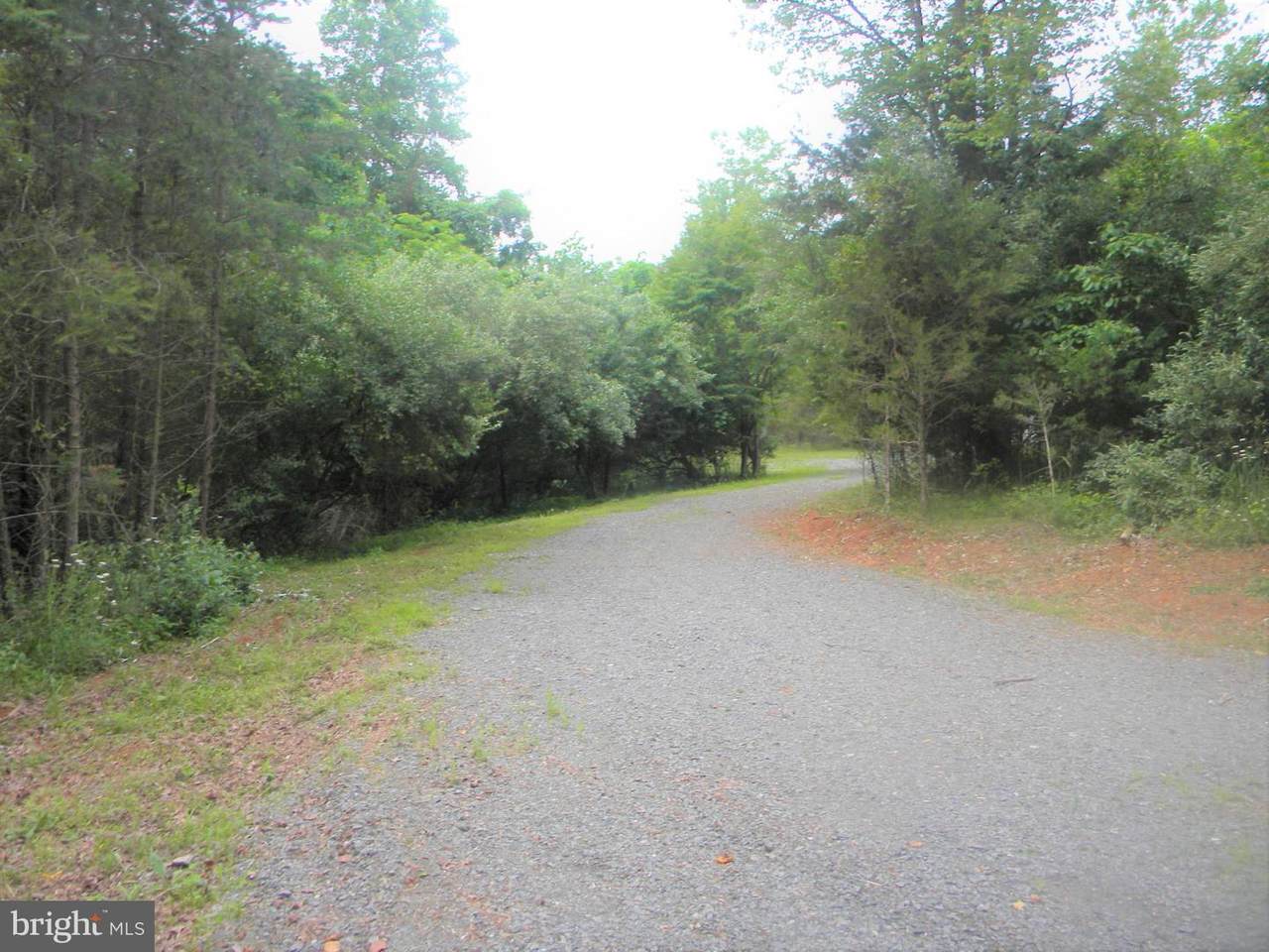 Hazel River - Photo 1