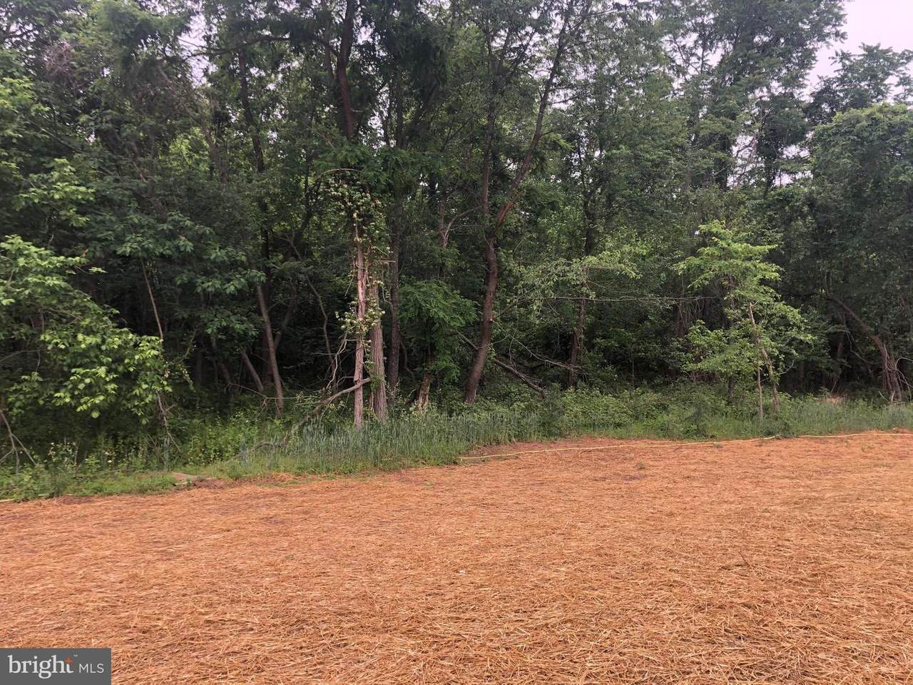 Lot 5 Cobalt Lane - Photo 1