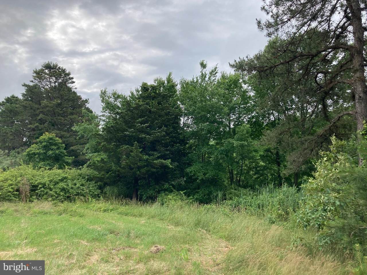 0 Grant Avenue - Photo 1