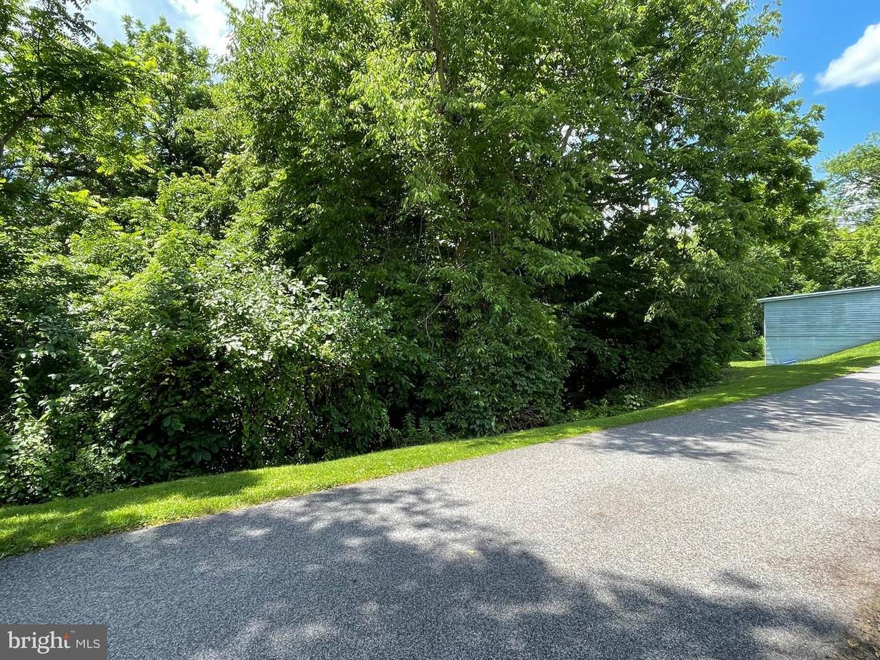 254 Plum Alley - Photo 1