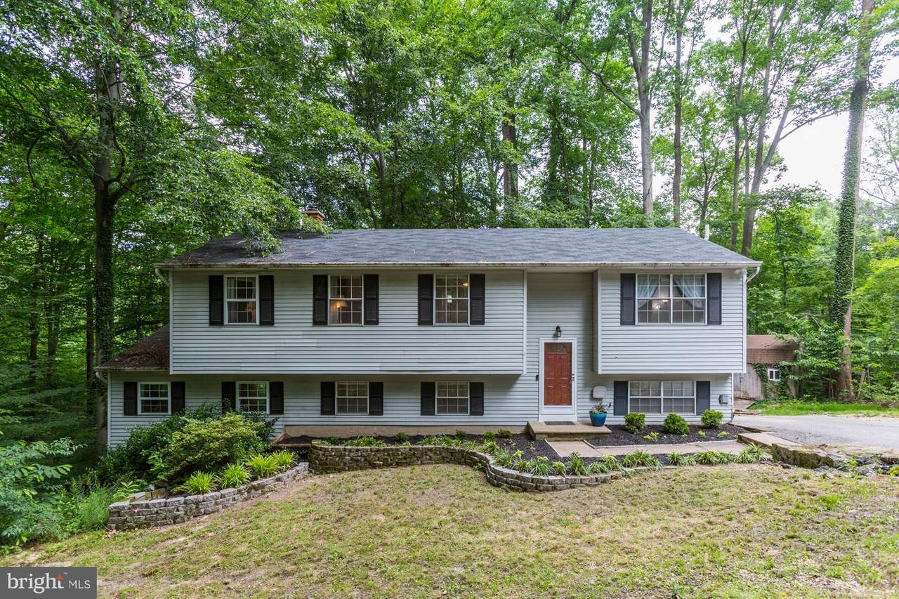 8960 Limerick Lane - Photo 1