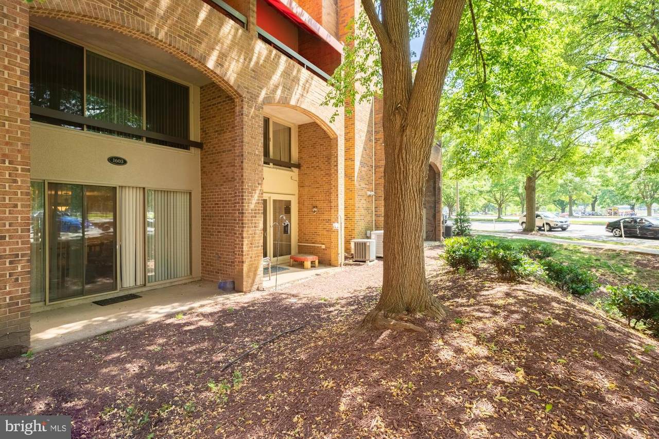 1603 Hayes Street - Photo 1