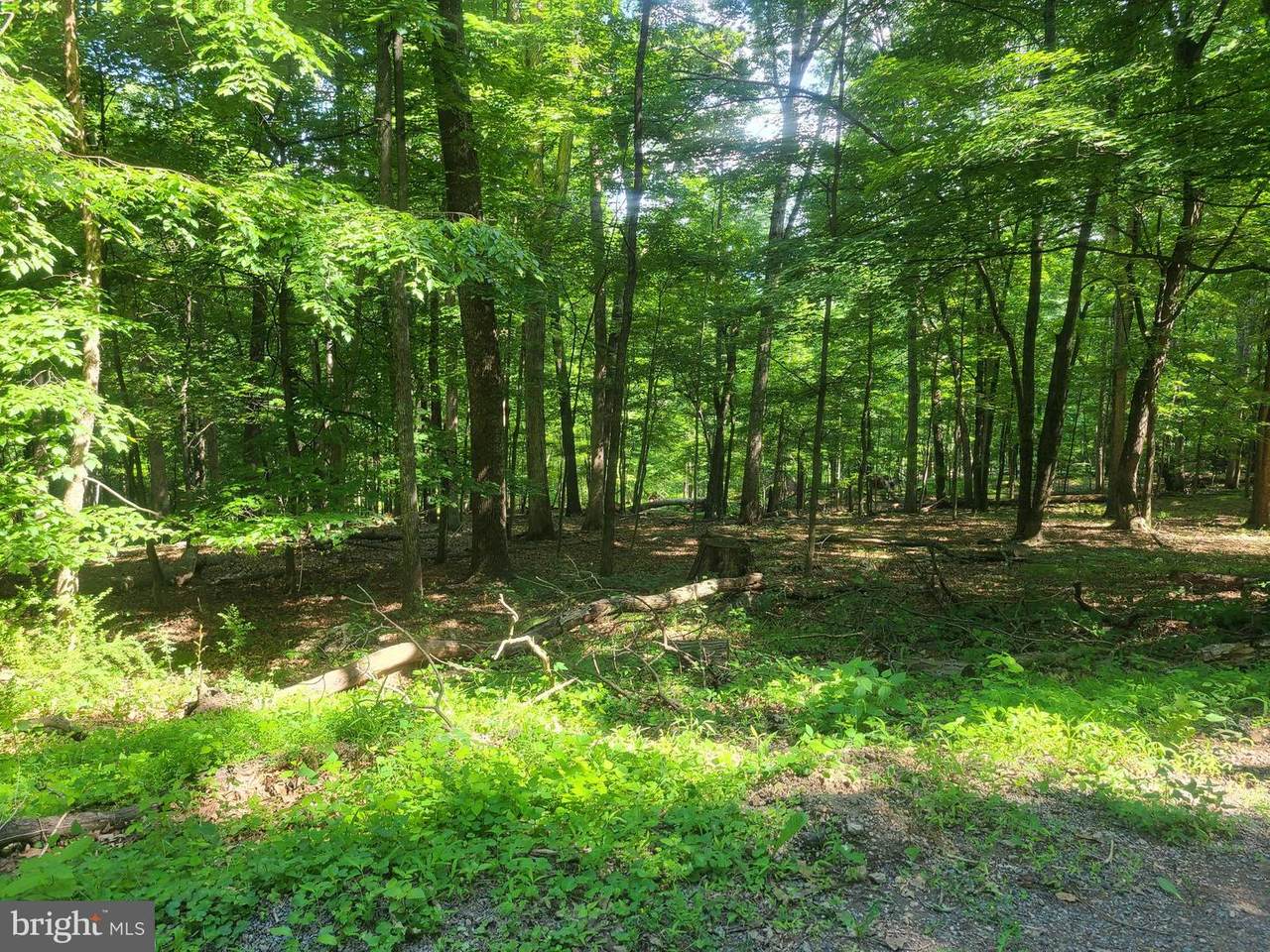 Wintergreen Way - Photo 1