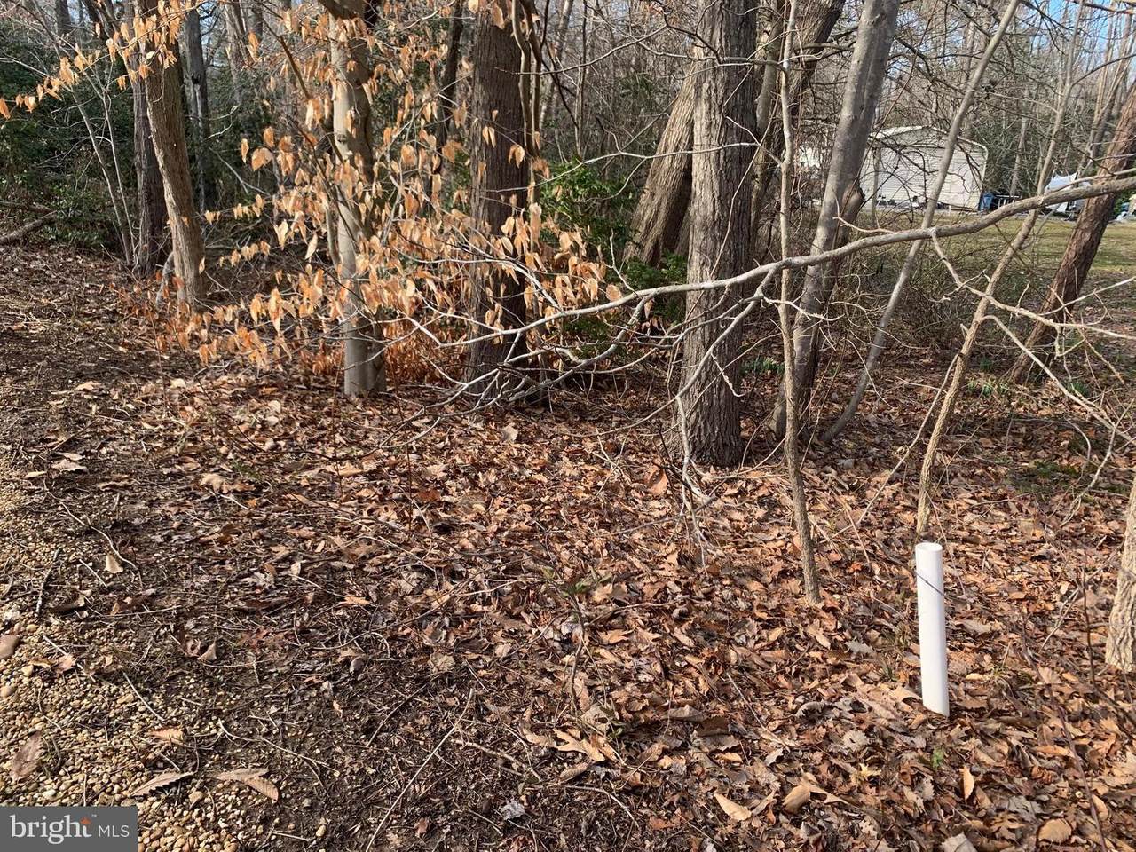 Cherry Lane - Photo 1