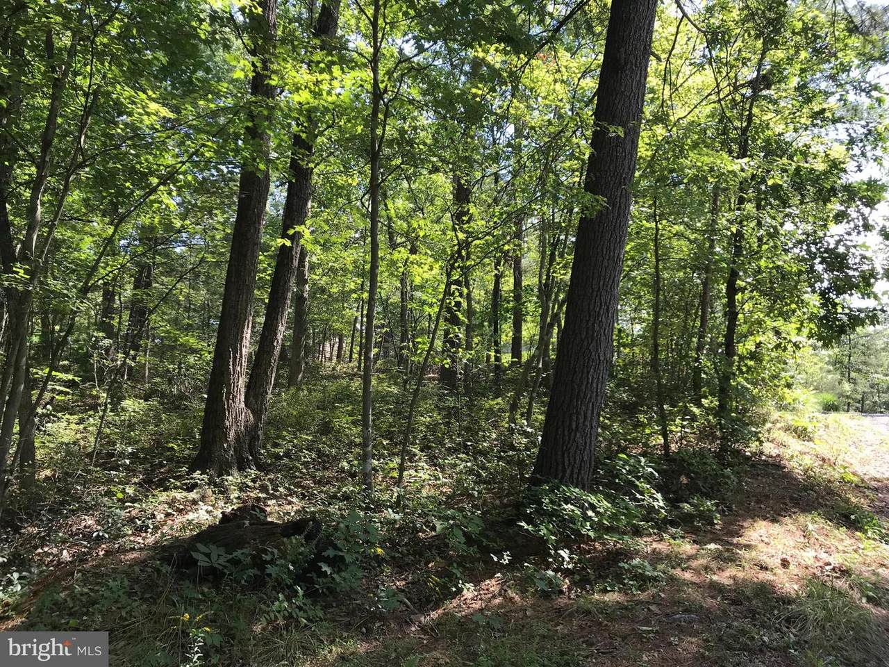 0 Ironwood Road - Photo 1