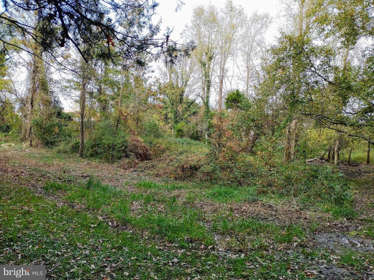 7111 Temple Hill Road - Photo 1