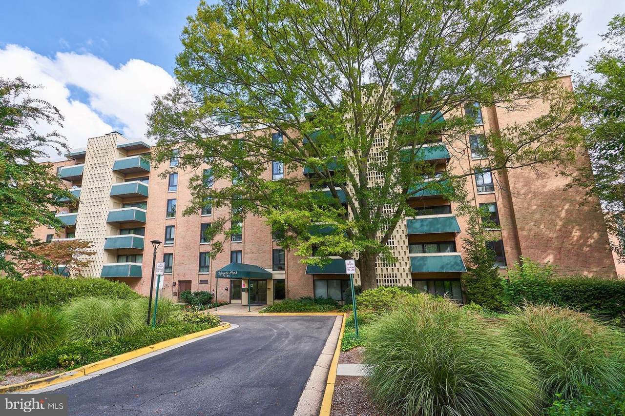 6145 Leesburg Pike - Photo 1