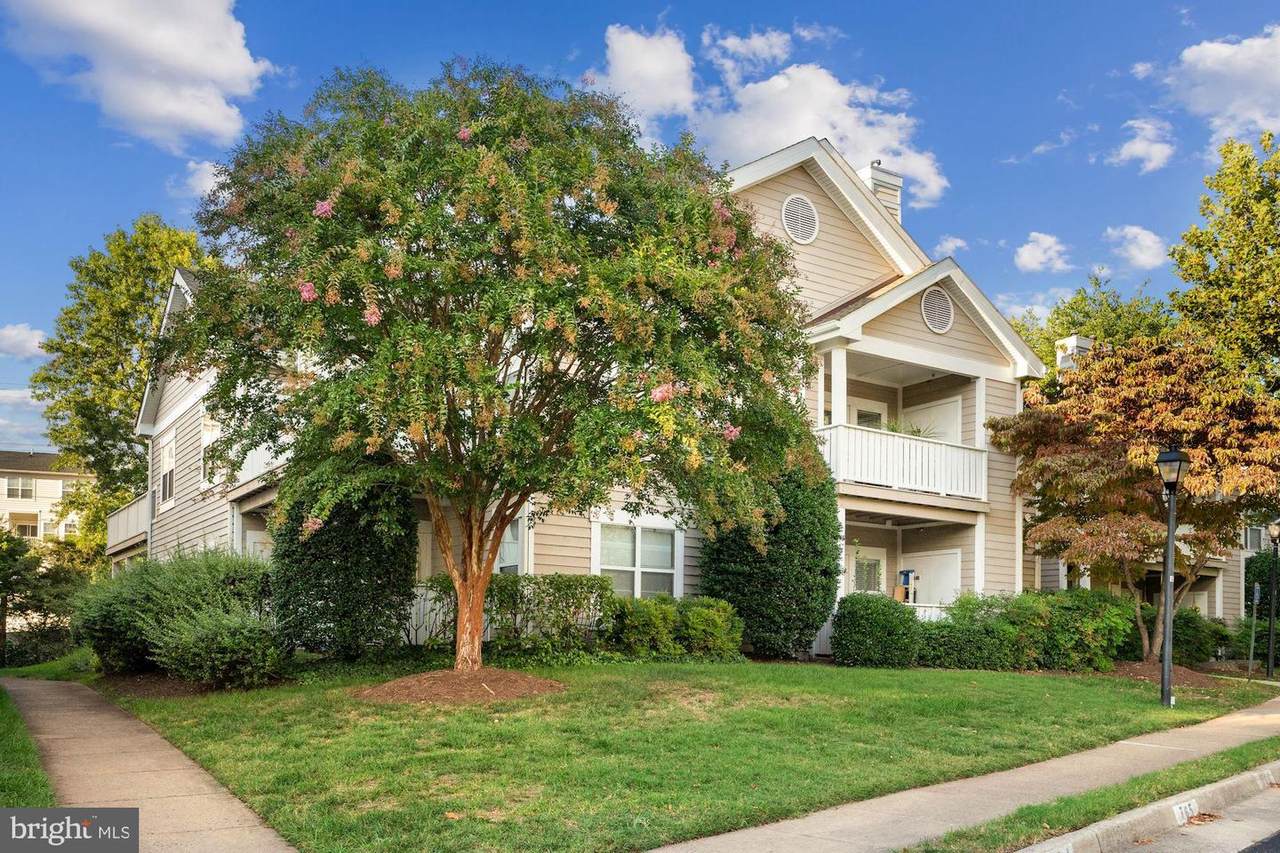 14300 Rosy Lane - Photo 1