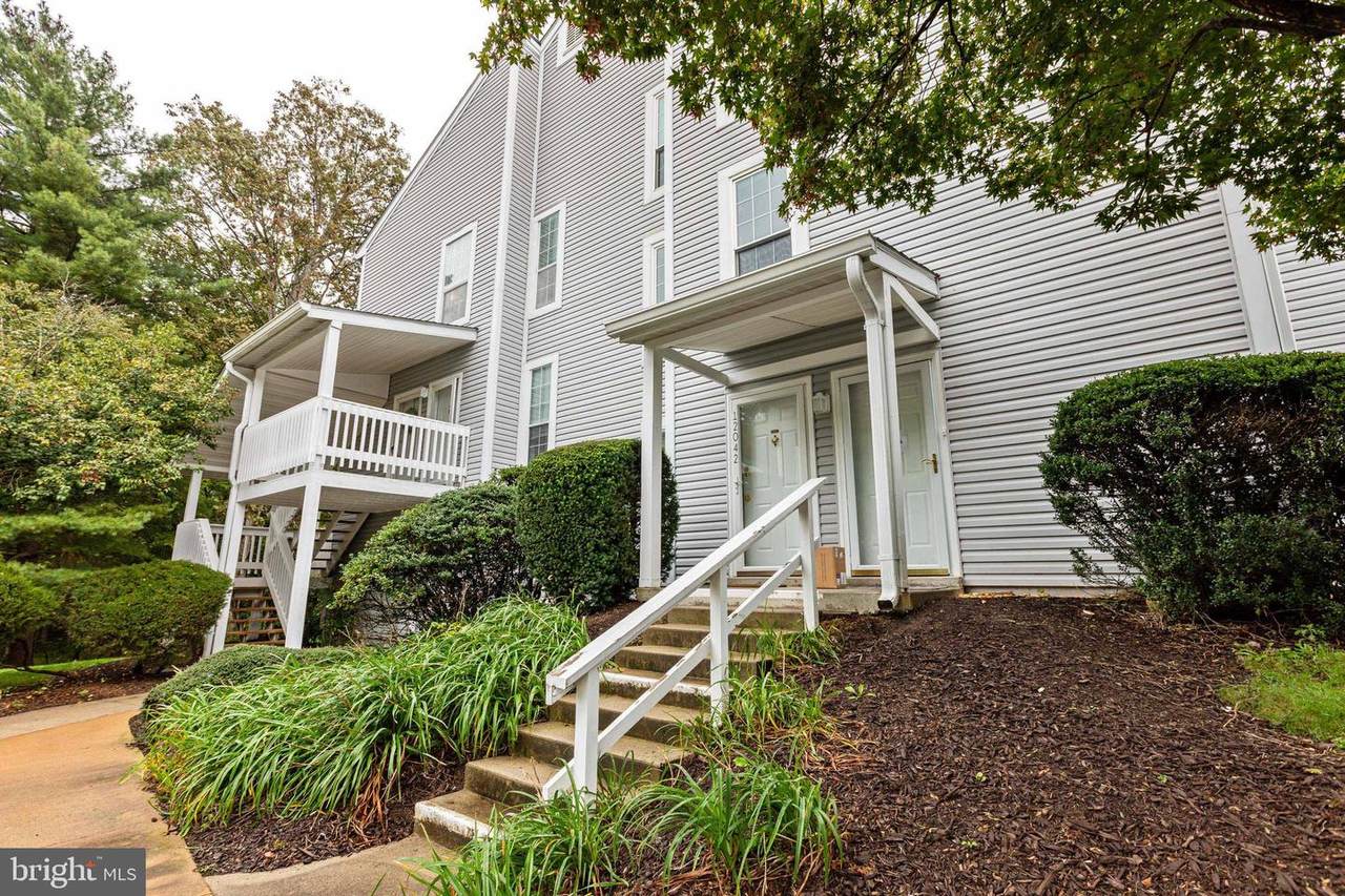 12030 Cardamom Drive - Photo 1