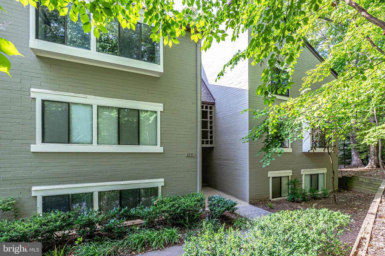 2210 Springwood Drive - Photo 1