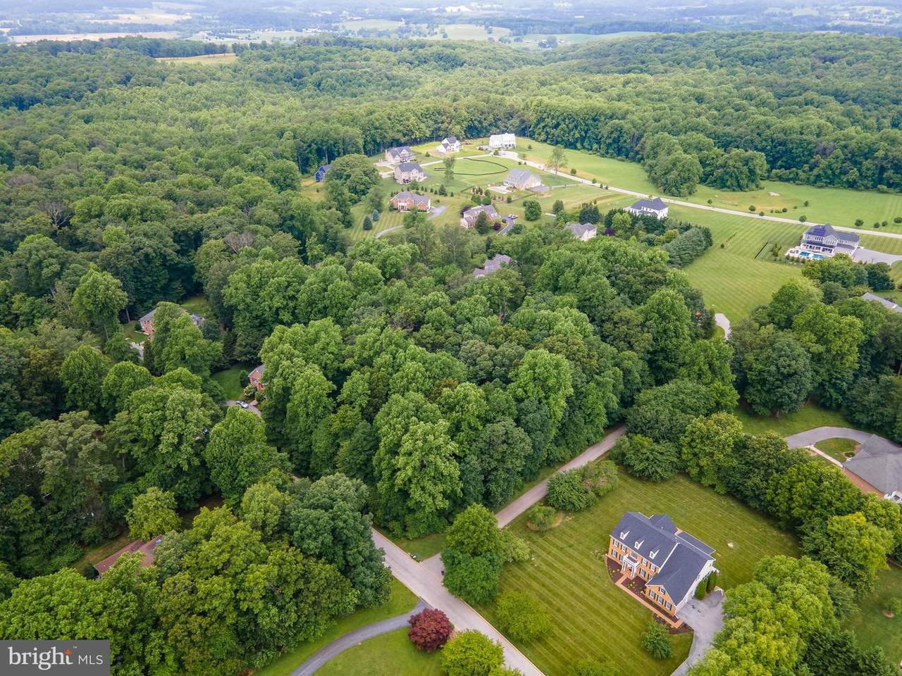 2520 Chestnut Woods Court - Photo 1