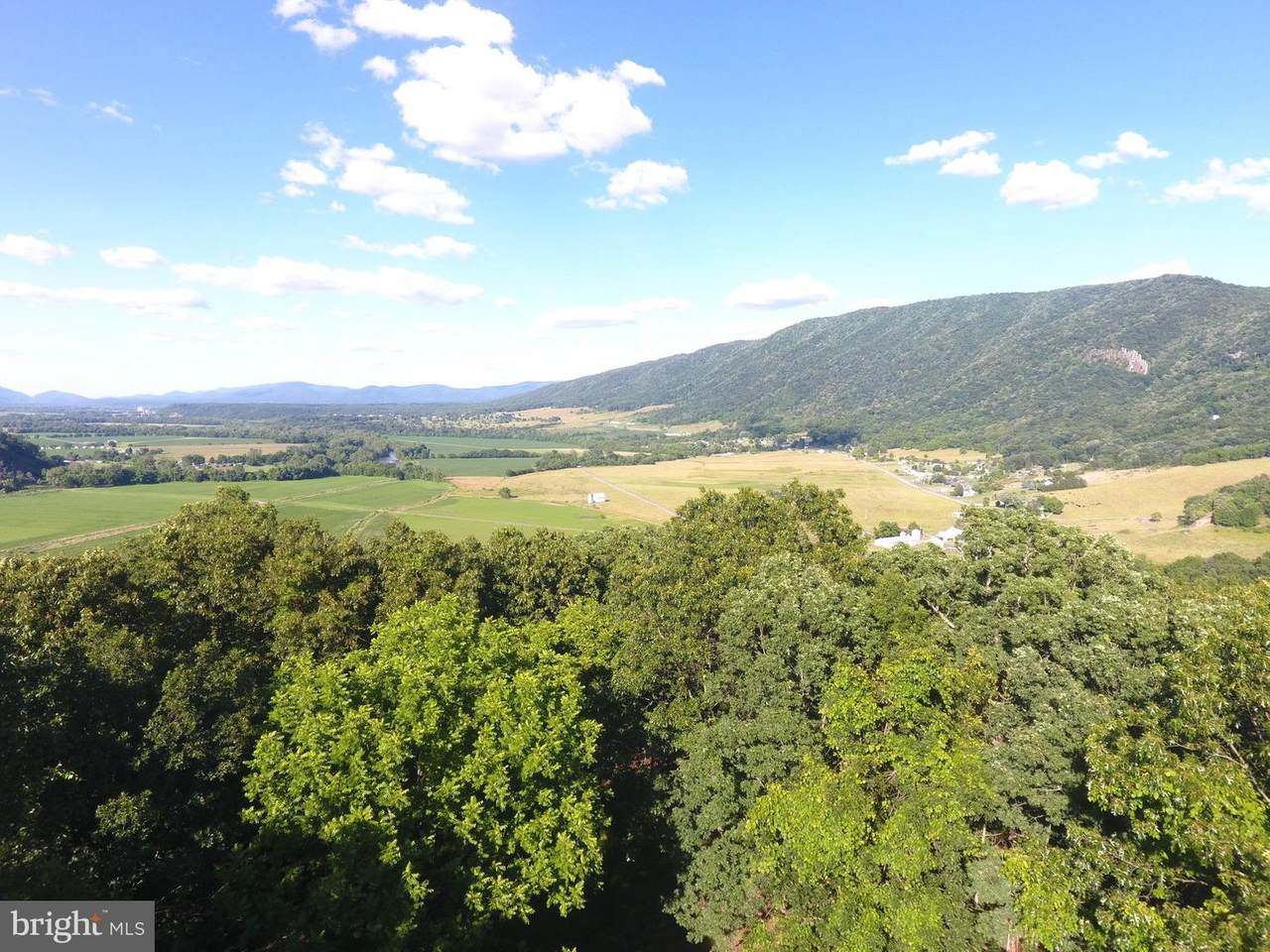 15.87 Ac Off Old Scott Farm Road - Photo 1