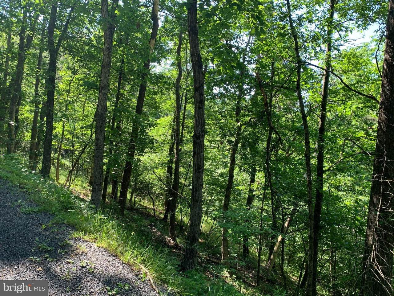 Beauregard Drive - Photo 1