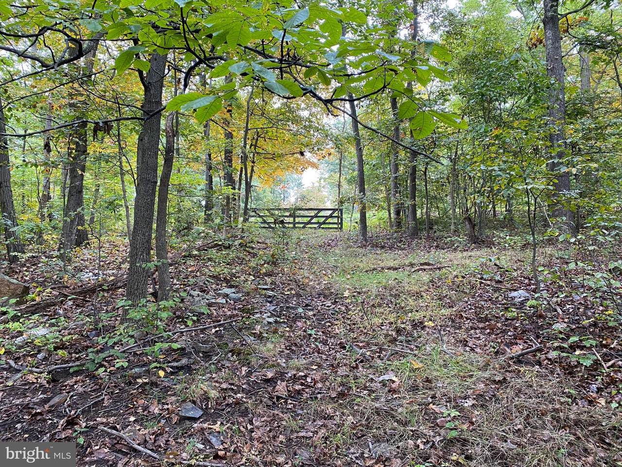 Rt. 9 West - Photo 1