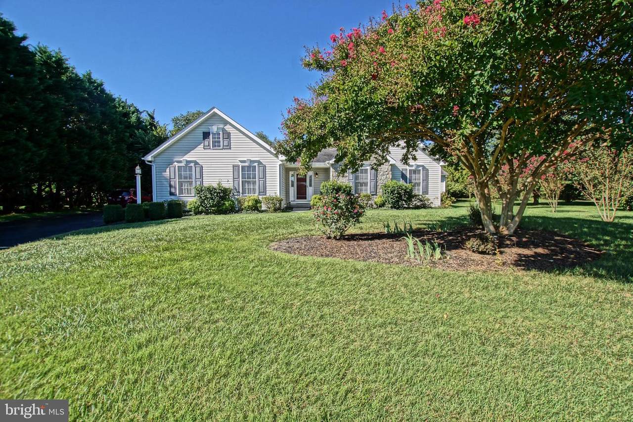 32919 Conch Court - Photo 1