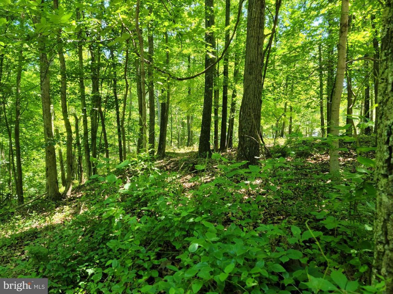 9 Potomac Woods - Photo 1