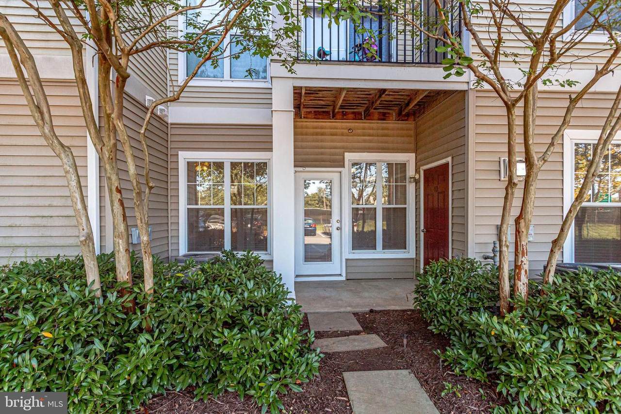 13377-B Connor Drive - Photo 1