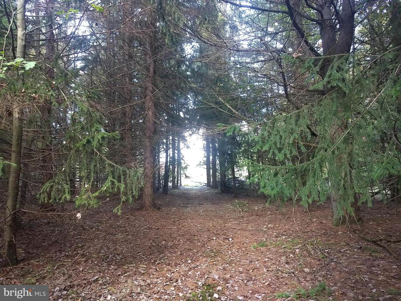 28 Belle Aire Road - Photo 1
