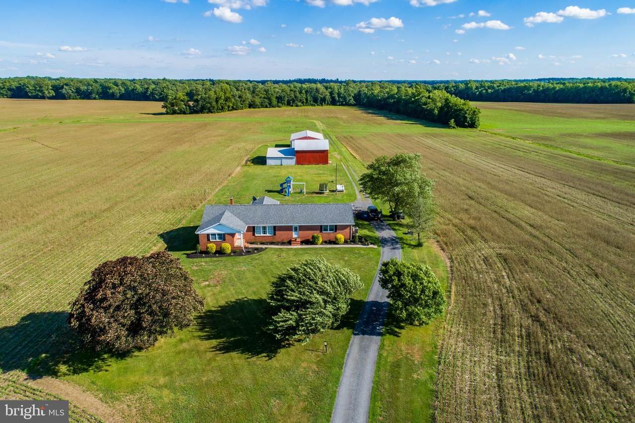 34351 Cypress Road - Photo 1