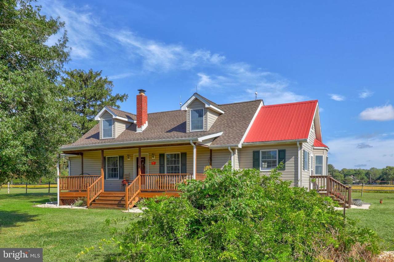 28692 Lewes Georgetown Highway - Photo 1