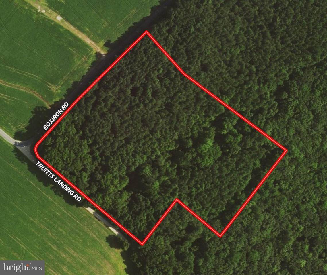 0 Truitt's Landing Road Lot 1 - Photo 1