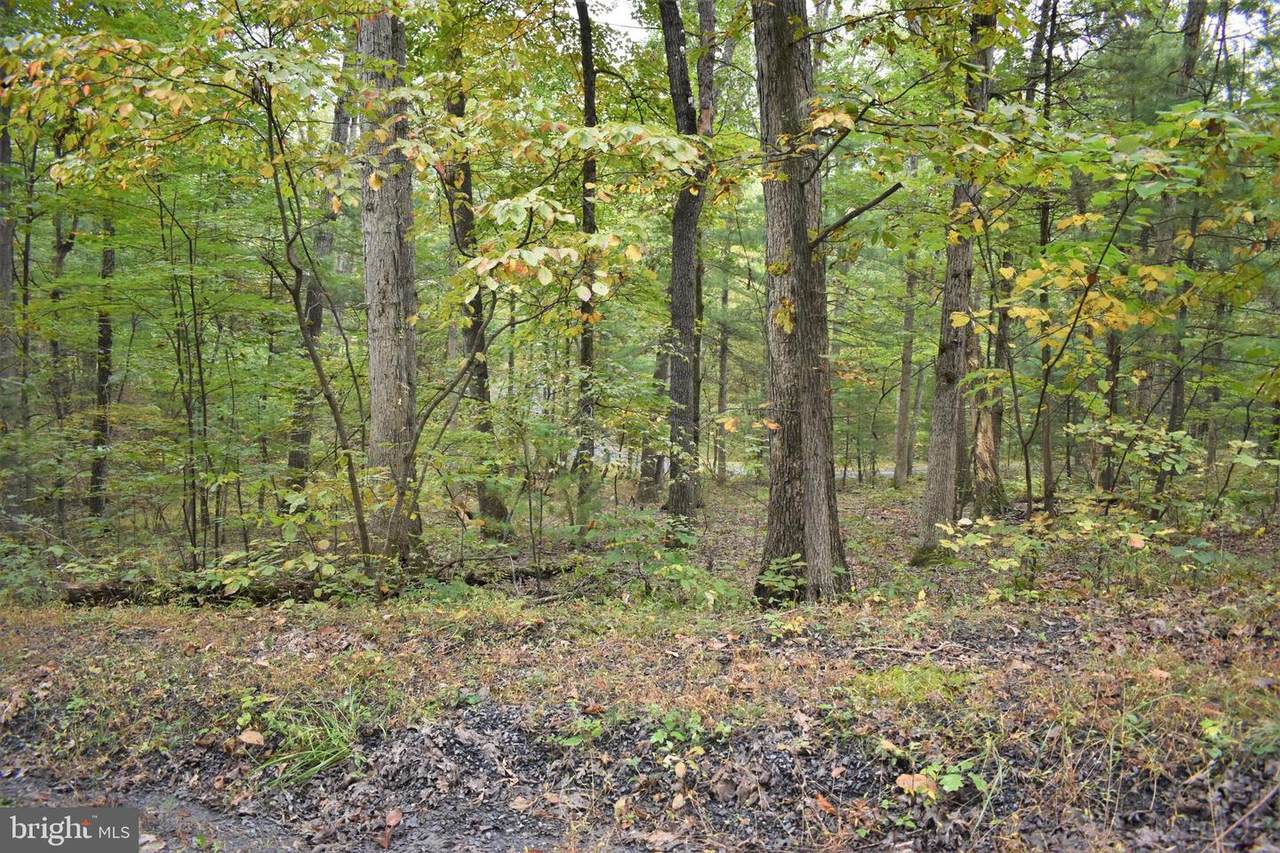 0 Sycamore Rd - Photo 1