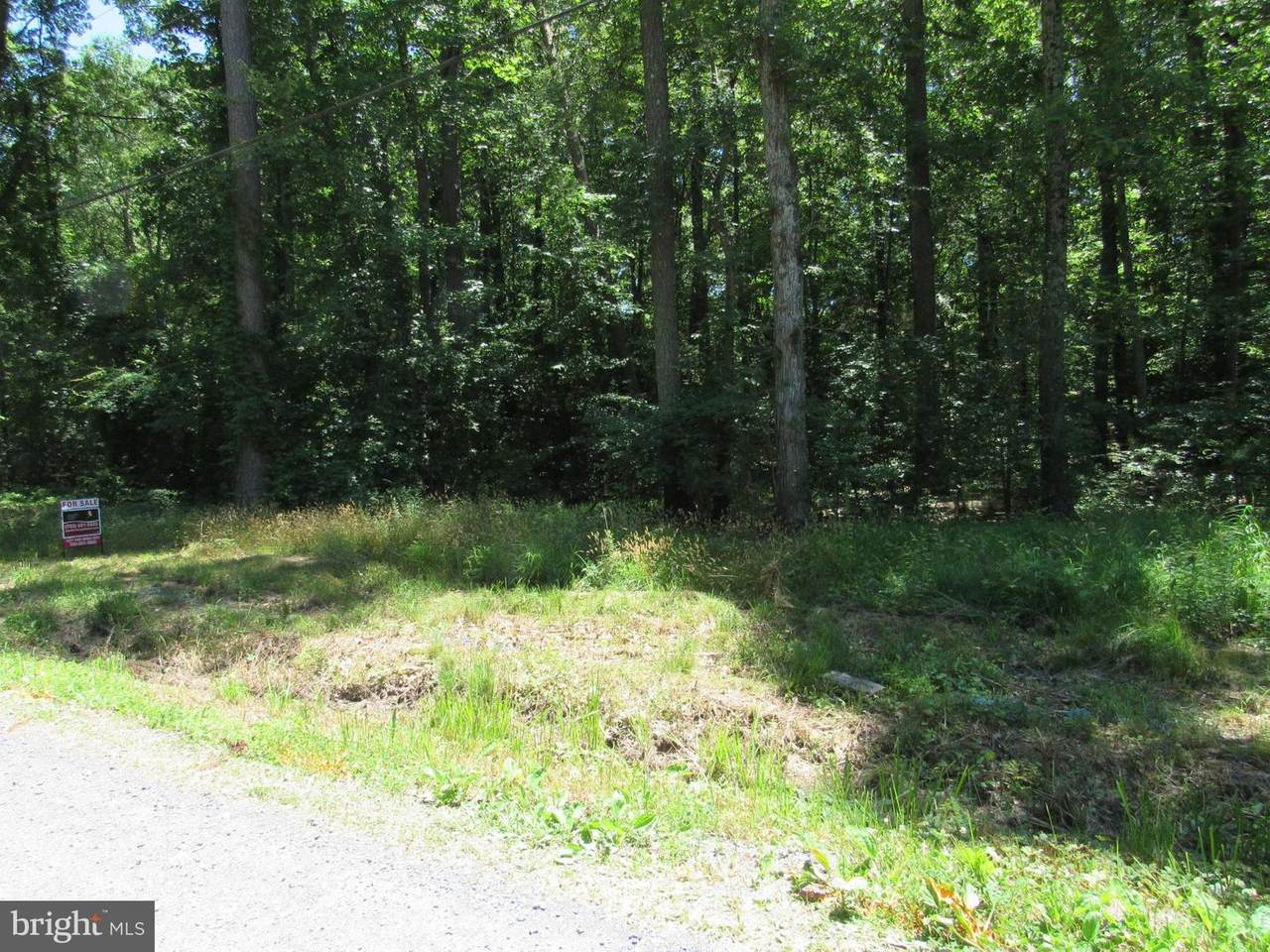 LOT 11 Holly Way Road - Photo 1
