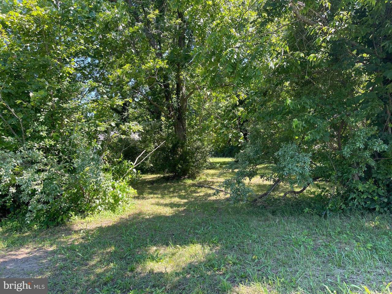 Essex Place - Photo 1