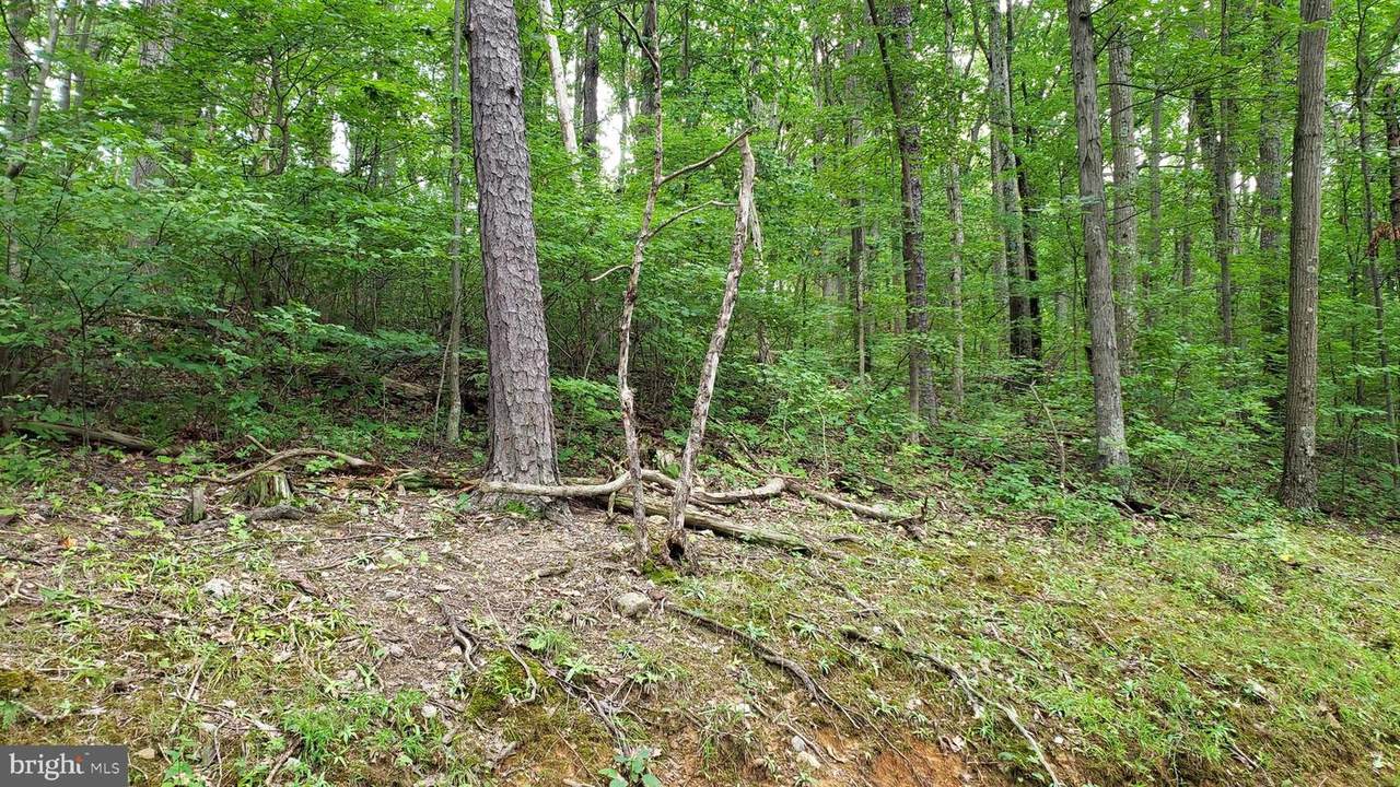 128 Rappahannock Trail - Photo 1