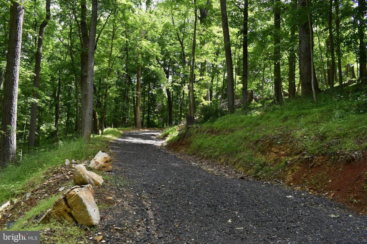 47 Acres Trough Road - Photo 1