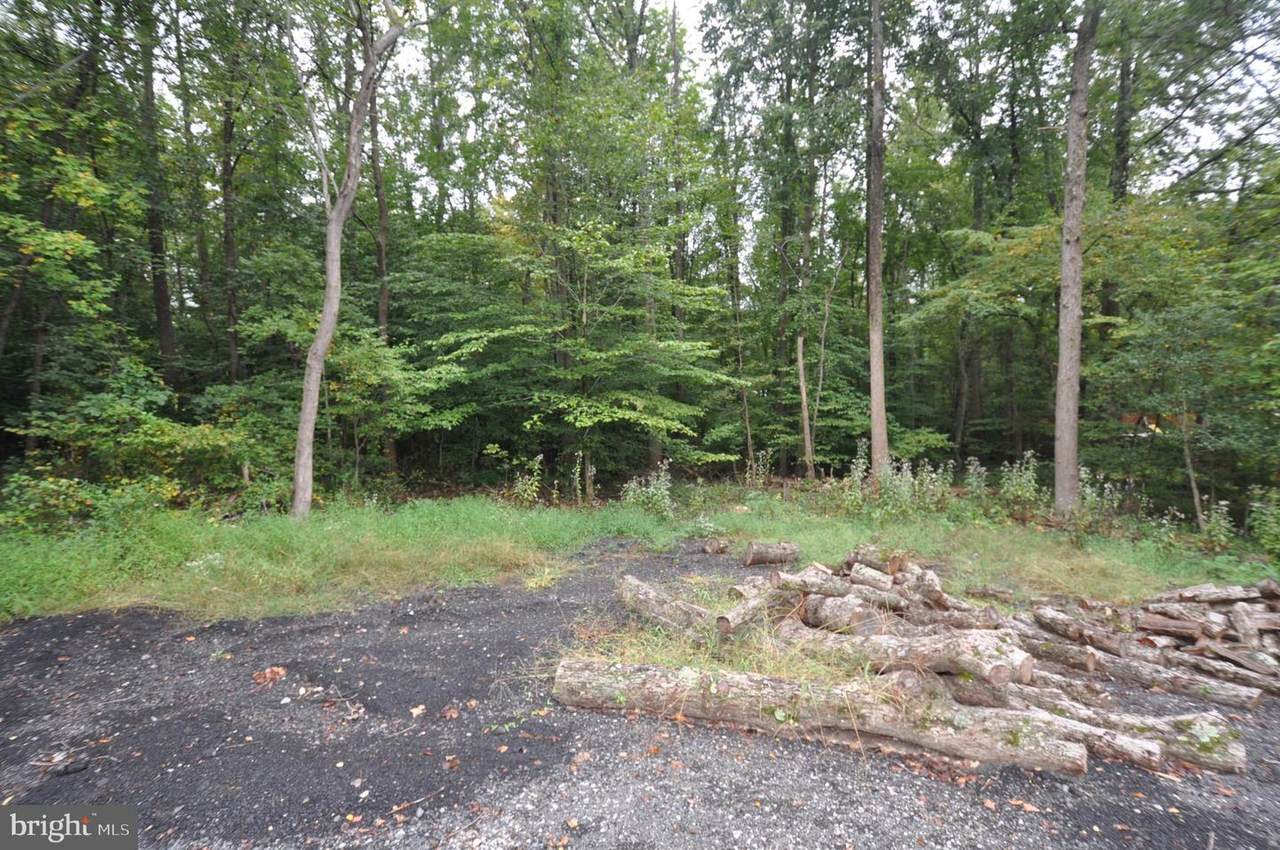 7725 Dolly Drive - Photo 1