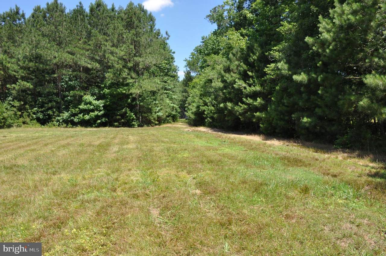 30575 Bryan Hall Road - Photo 1