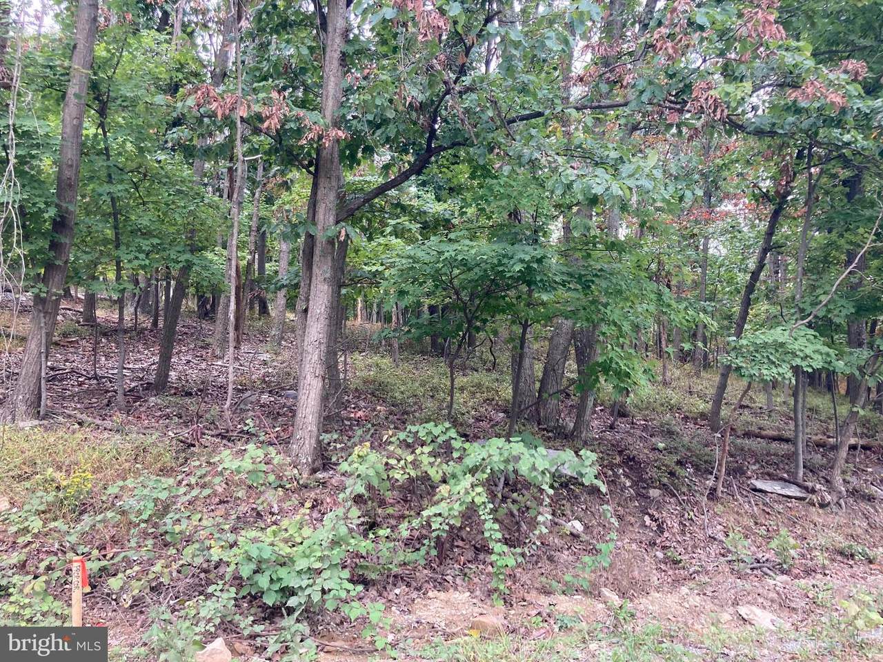 Wren Lane - Photo 1