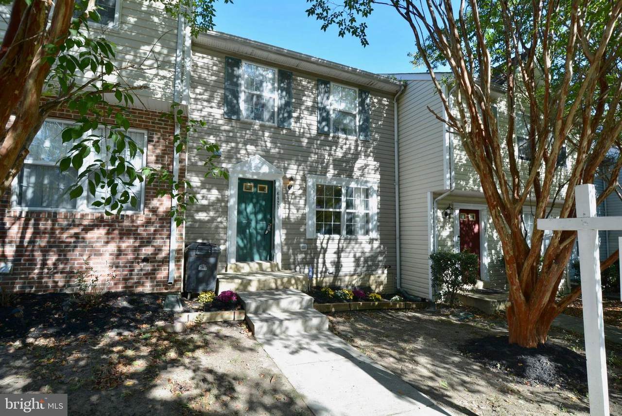 6828 Amber Hill Court - Photo 1
