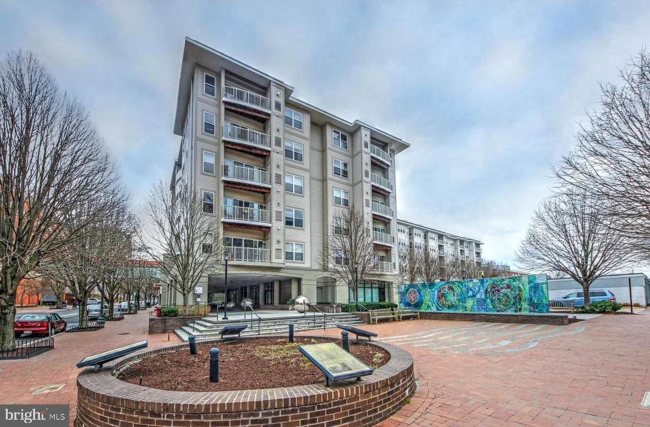 8045 Newell - Photo 1