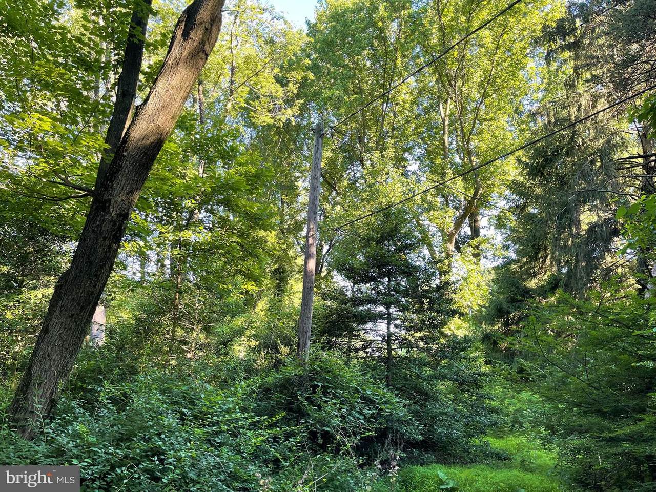 0 Ridgeview Road - Photo 1