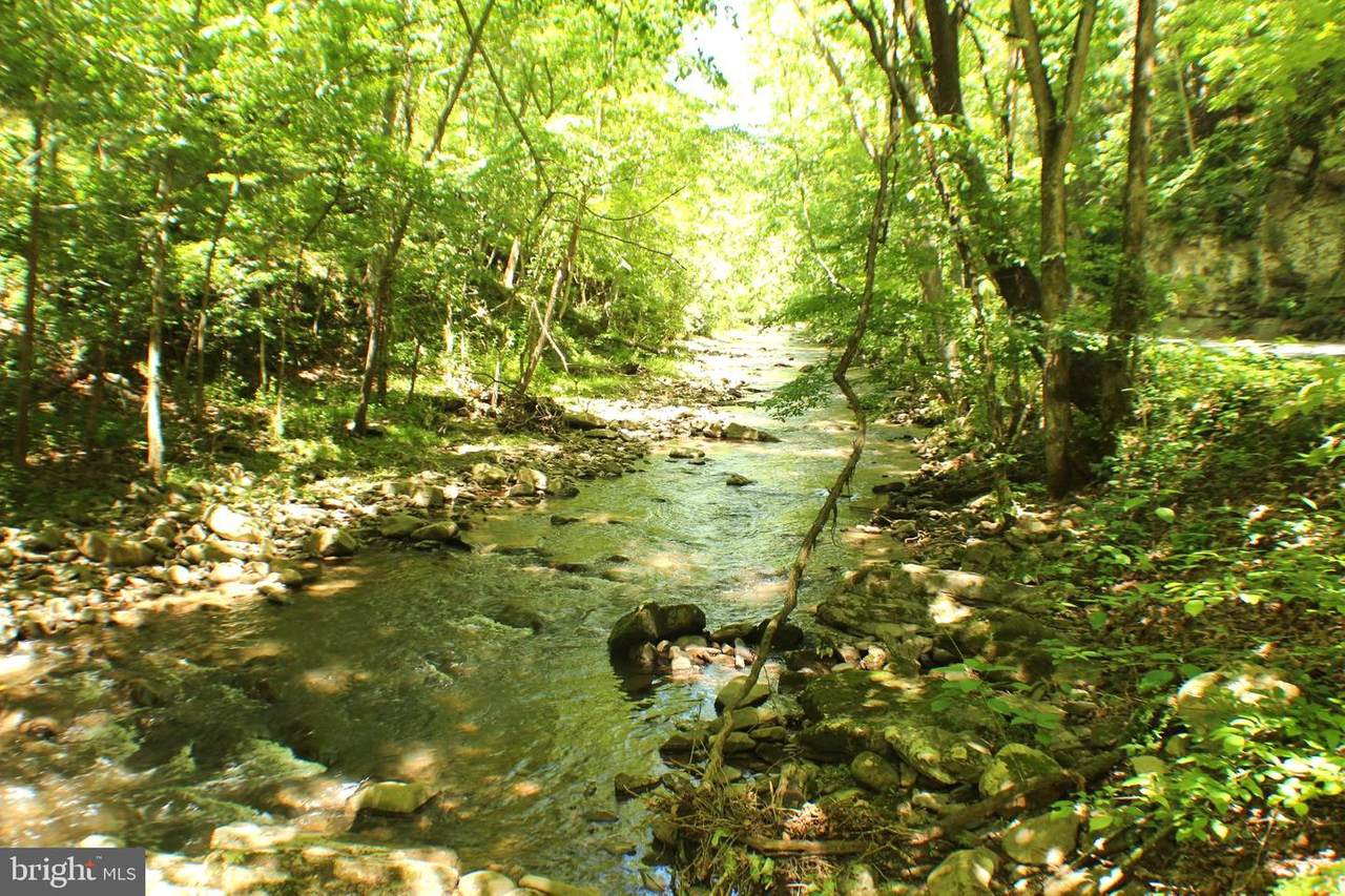 127 Ac Off Trough Road - Photo 1