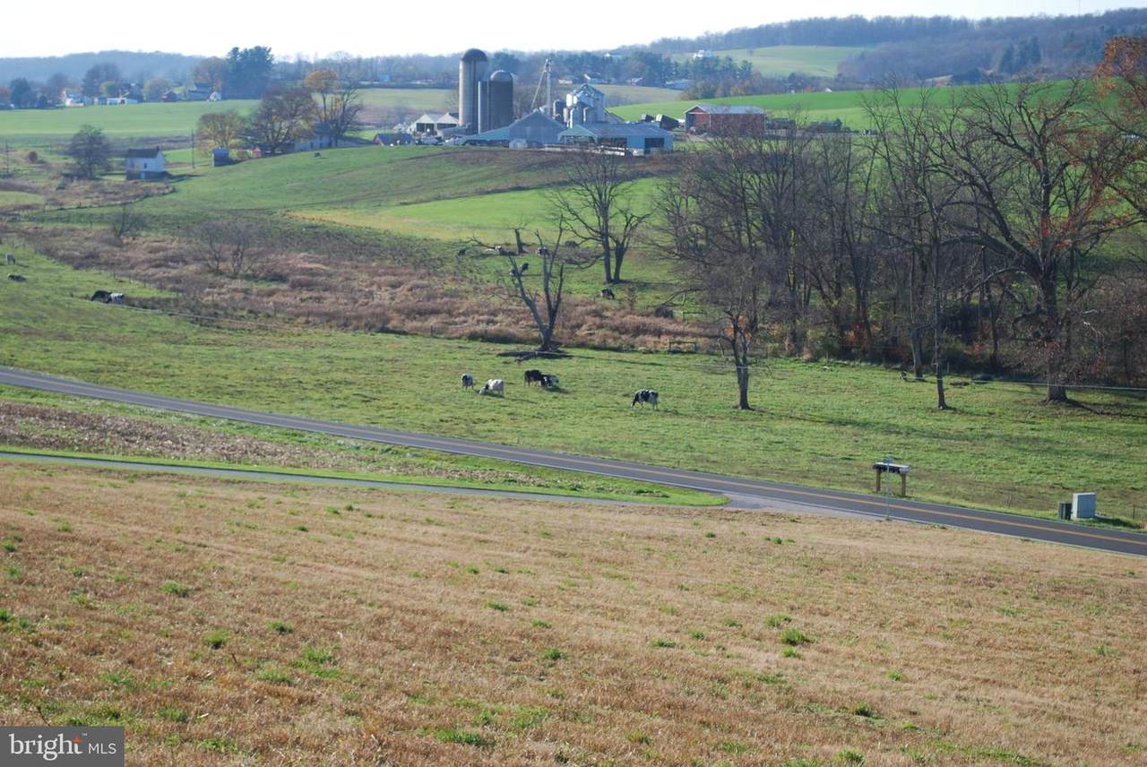 3203-NEAR Traceys Mill Road - Photo 1