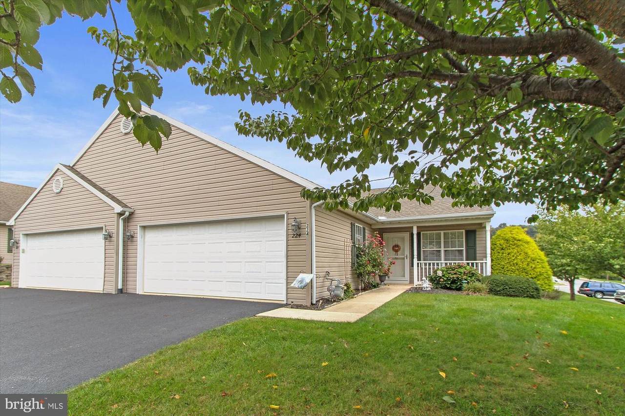 224 Equine Cove - Photo 1