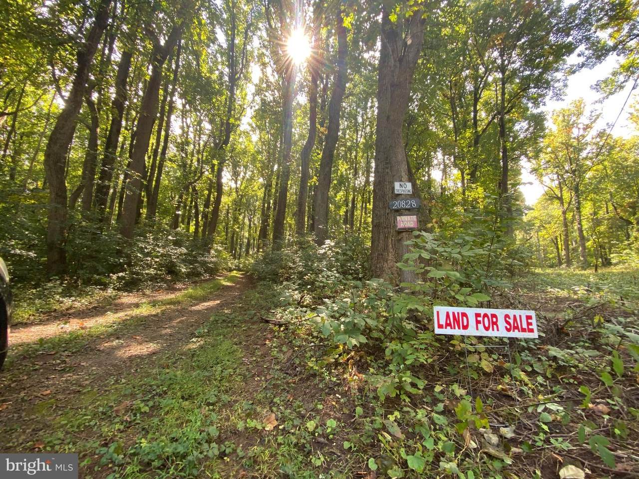 20828 Blueridge Mountain - Photo 1