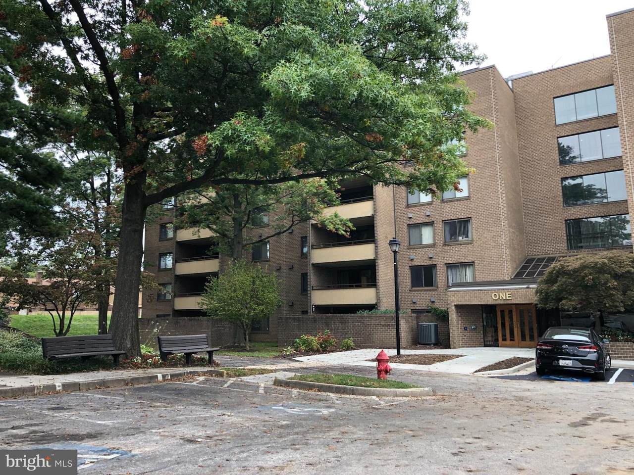 1 High Stepper Court - Photo 1