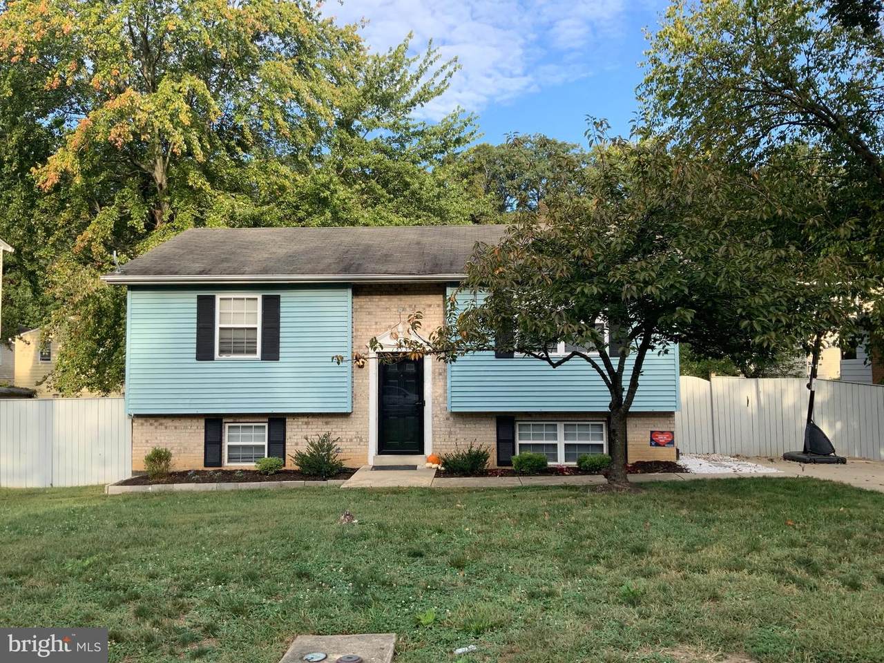1515 SHAMROCK - Photo 1